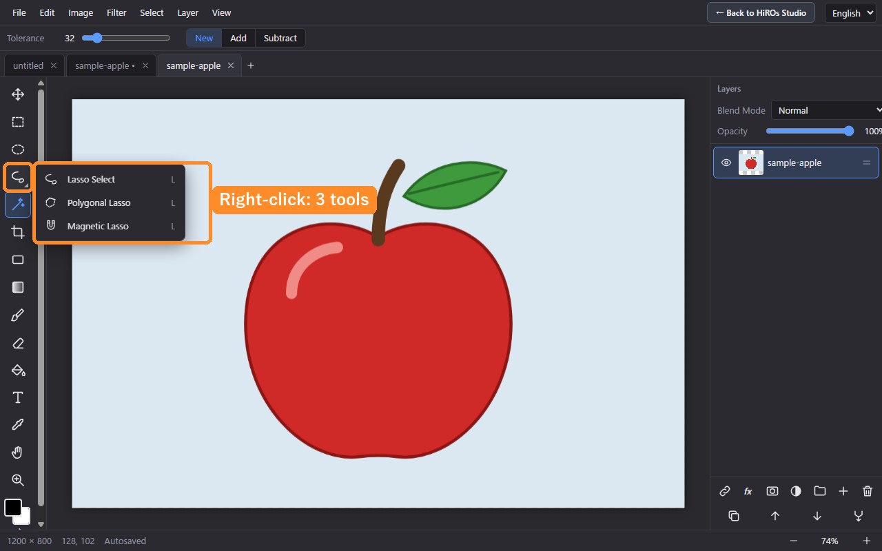 Right-clicking the lasso icon opens a list: Lasso Select, Polygonal Lasso and Magnetic Lasso