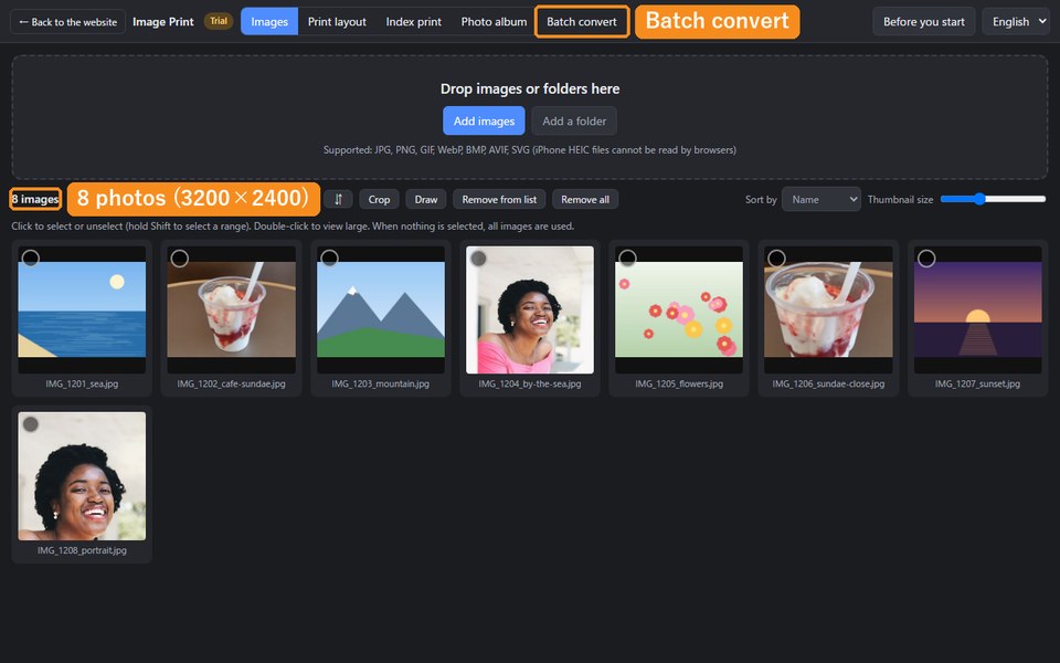 Eight trip photos in the list, with the photo count and the Batch convert tab marked