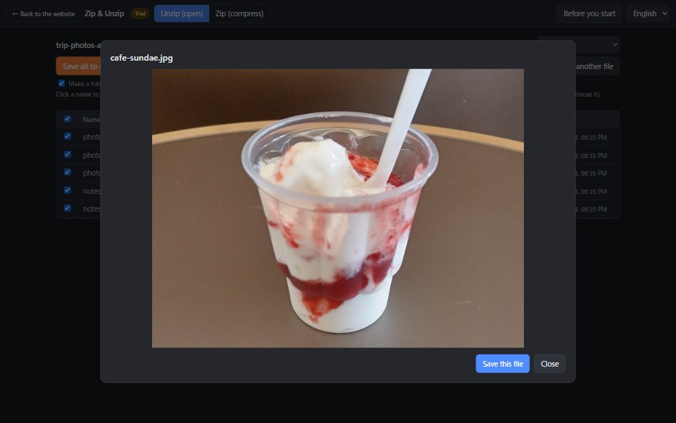 A photo inside the archive shown after clicking its name, with a Save this file button
